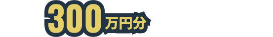 今ならの300万円分オプション込みで